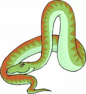 Раскраска змея для детей #5 #81865