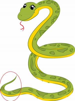 Раскраска змея для детей #19 #81879