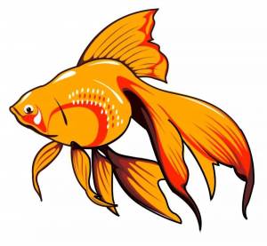 Раскраска золотая рыбка для детей #4 #82109