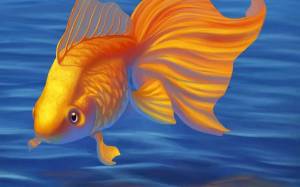 Раскраска золотая рыбка для детей #24 #82129