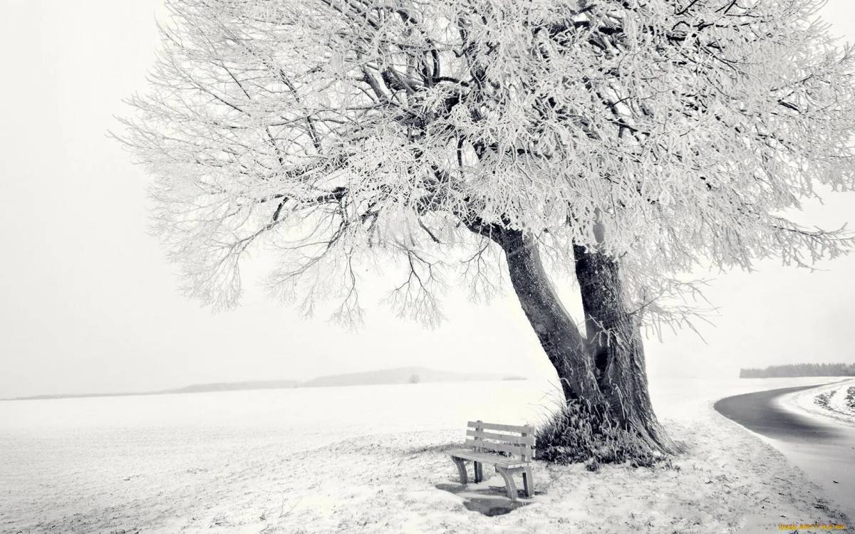 Зимнее дерево #32