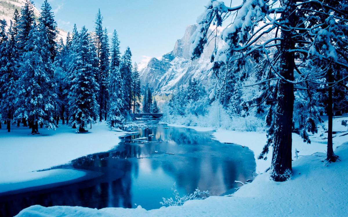 Зимняя природа #28