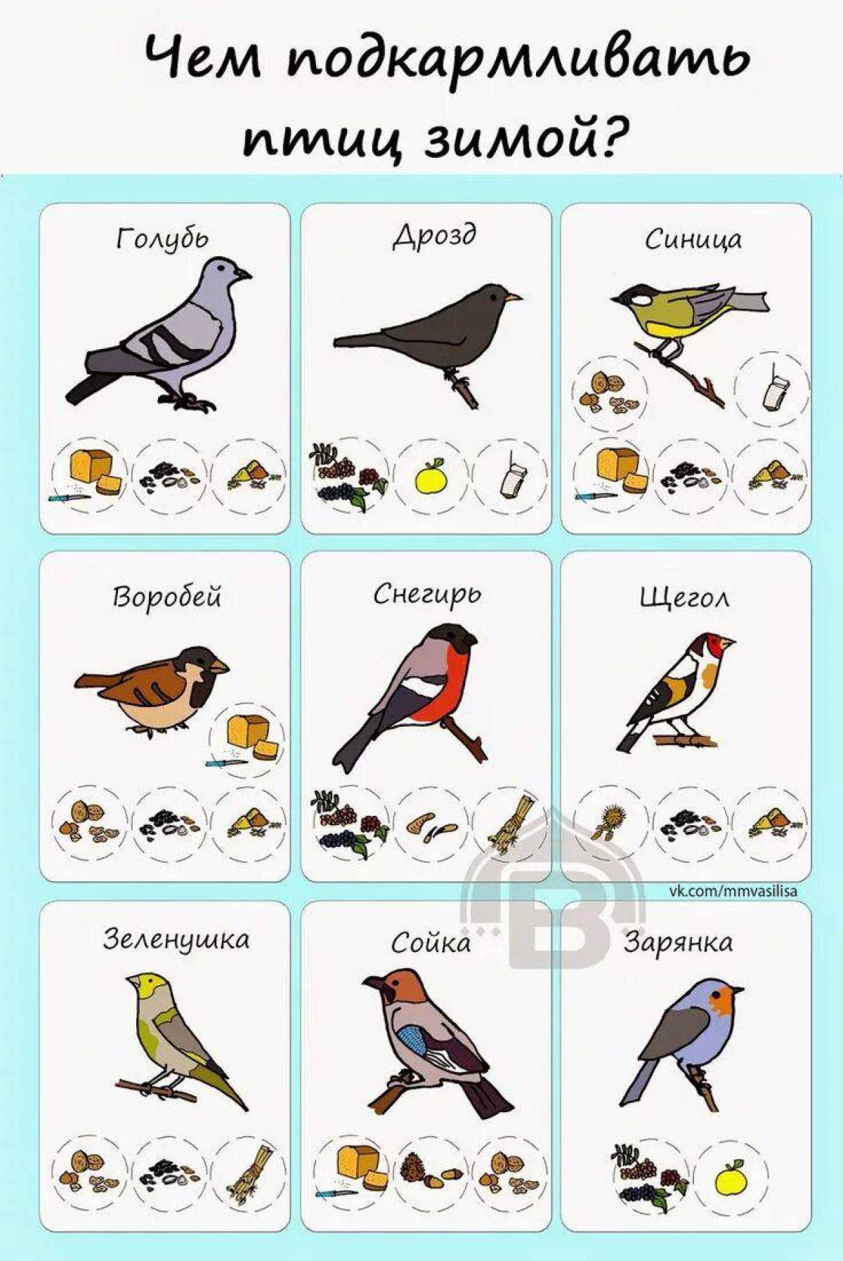 Зимующие птицы для детей #28