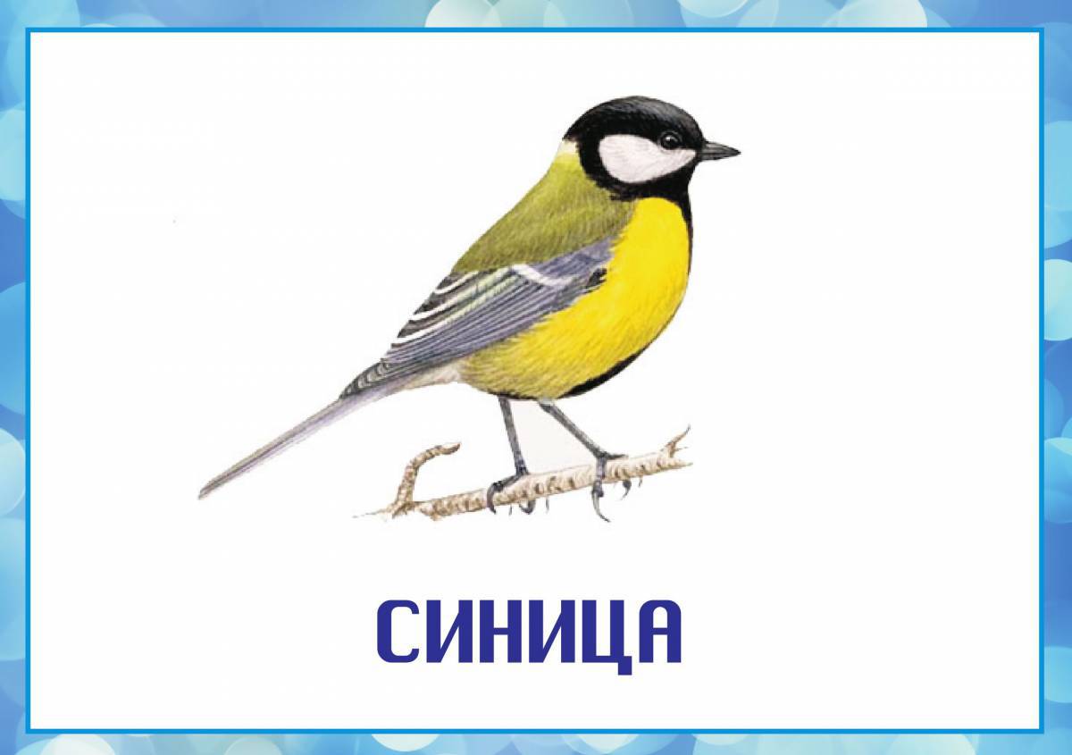 Перелетные птицы для дошкольников (49 фото) - красивые фото и картинки витамин-п-байкальский.рф