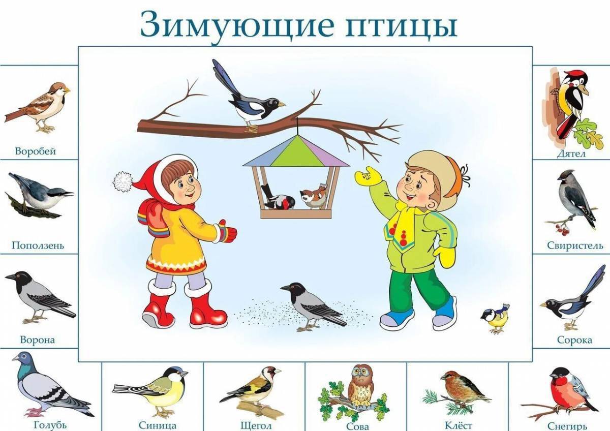 Зимующие птицы с названиями для детей #15