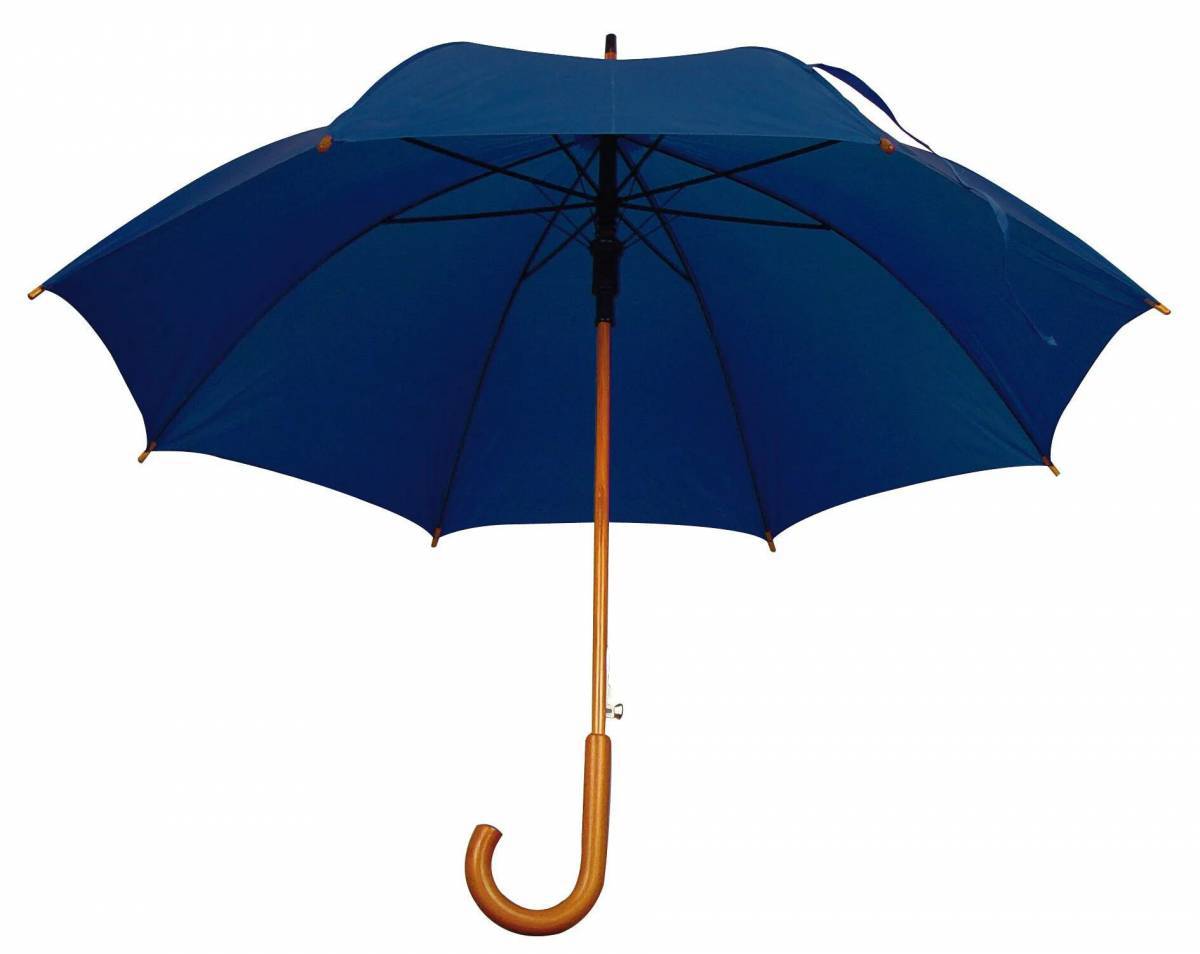 Зонт #5