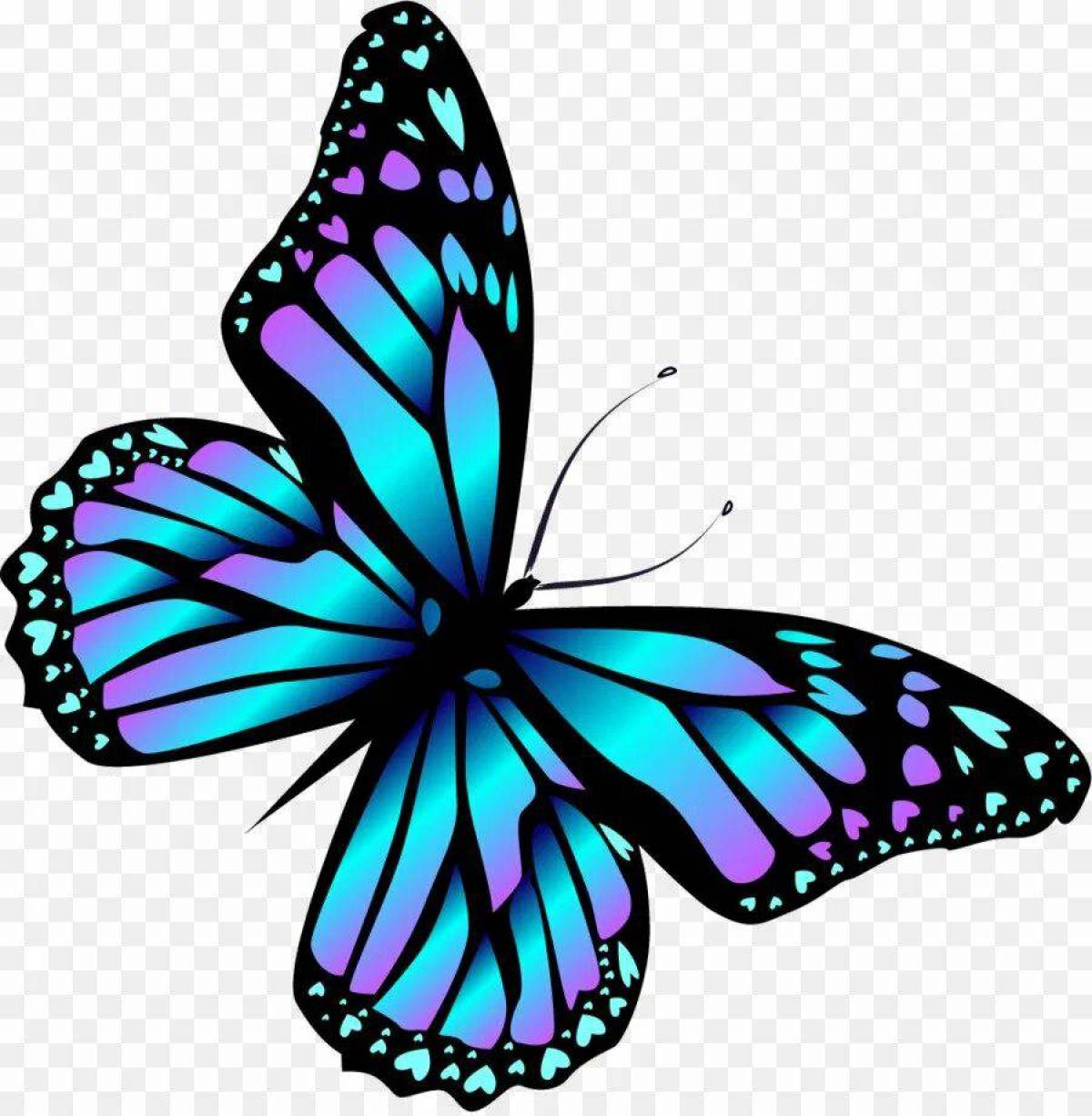 Пнг изображения. Бабочка рисунок. Бабочки на белом фоне. Нарисовать бабочку. Красивые бабочки на белом фоне.