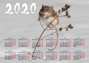 Раскраска календарь 2023 #8 #86181