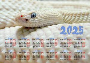 Раскраска календарь на 2023 год #9 #86217