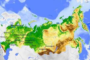 Раскраска карта россии #24 #86927