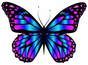 Раскраска картинка бабочка #1 #87015