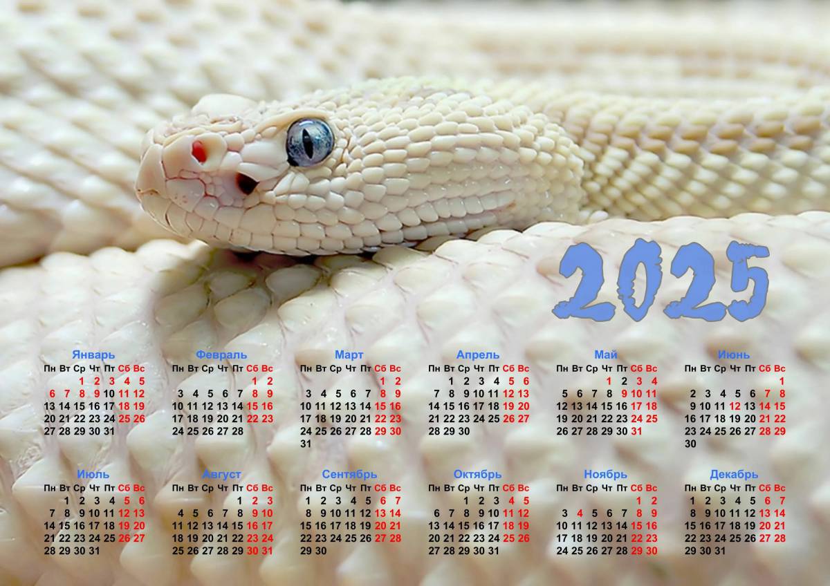 Календарь на 2023 год #9