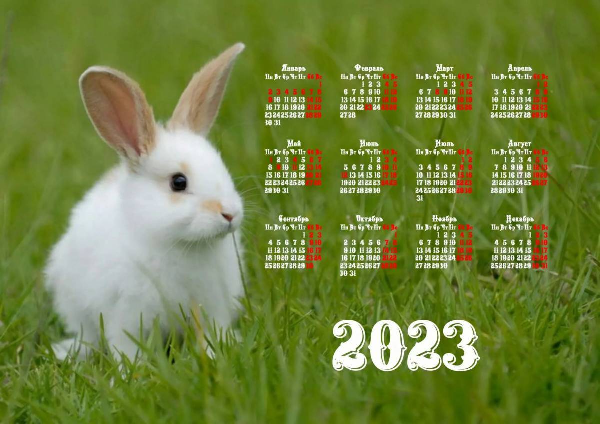 Календарь на 2023 год для детей #4