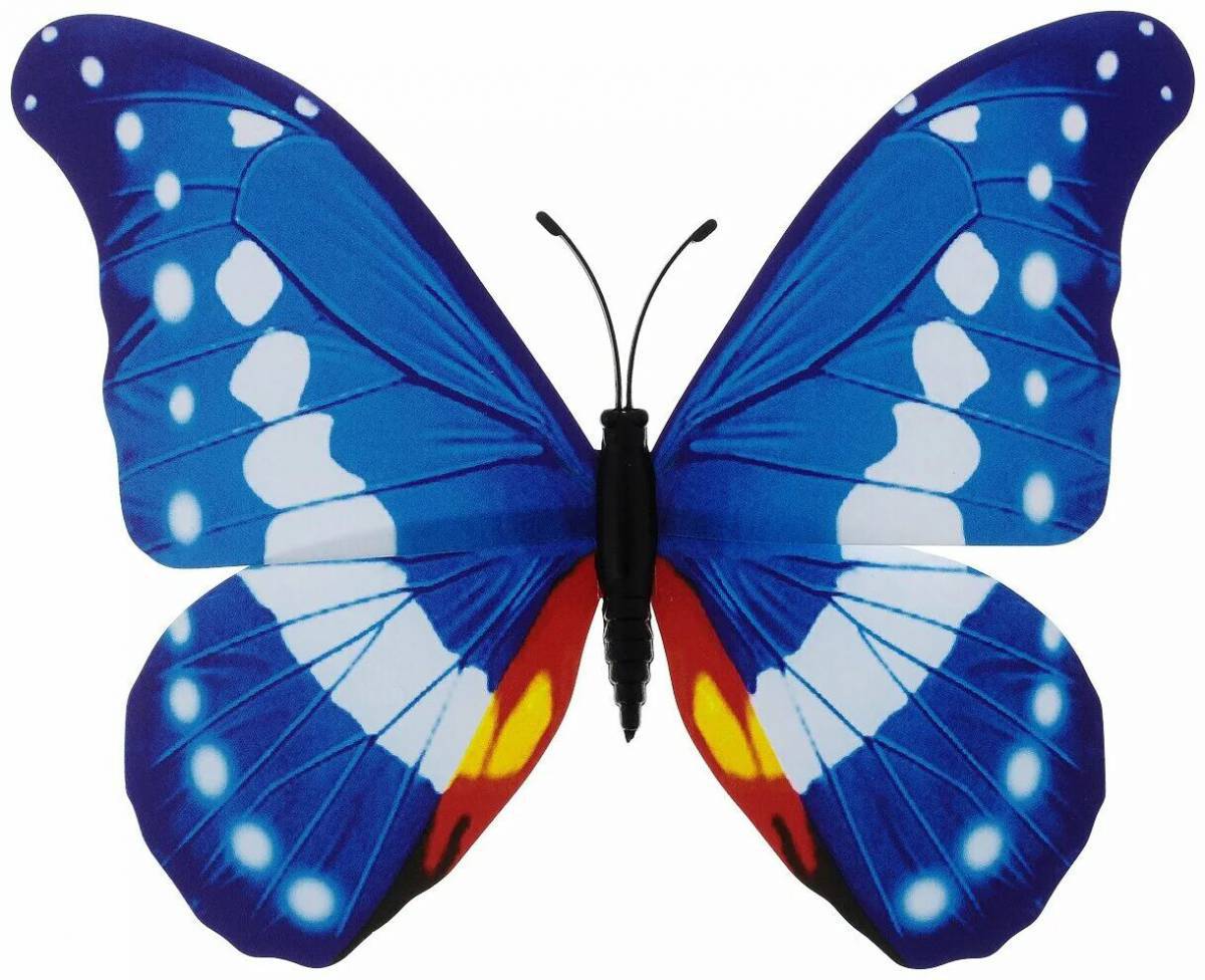 Картинка бабочка #8