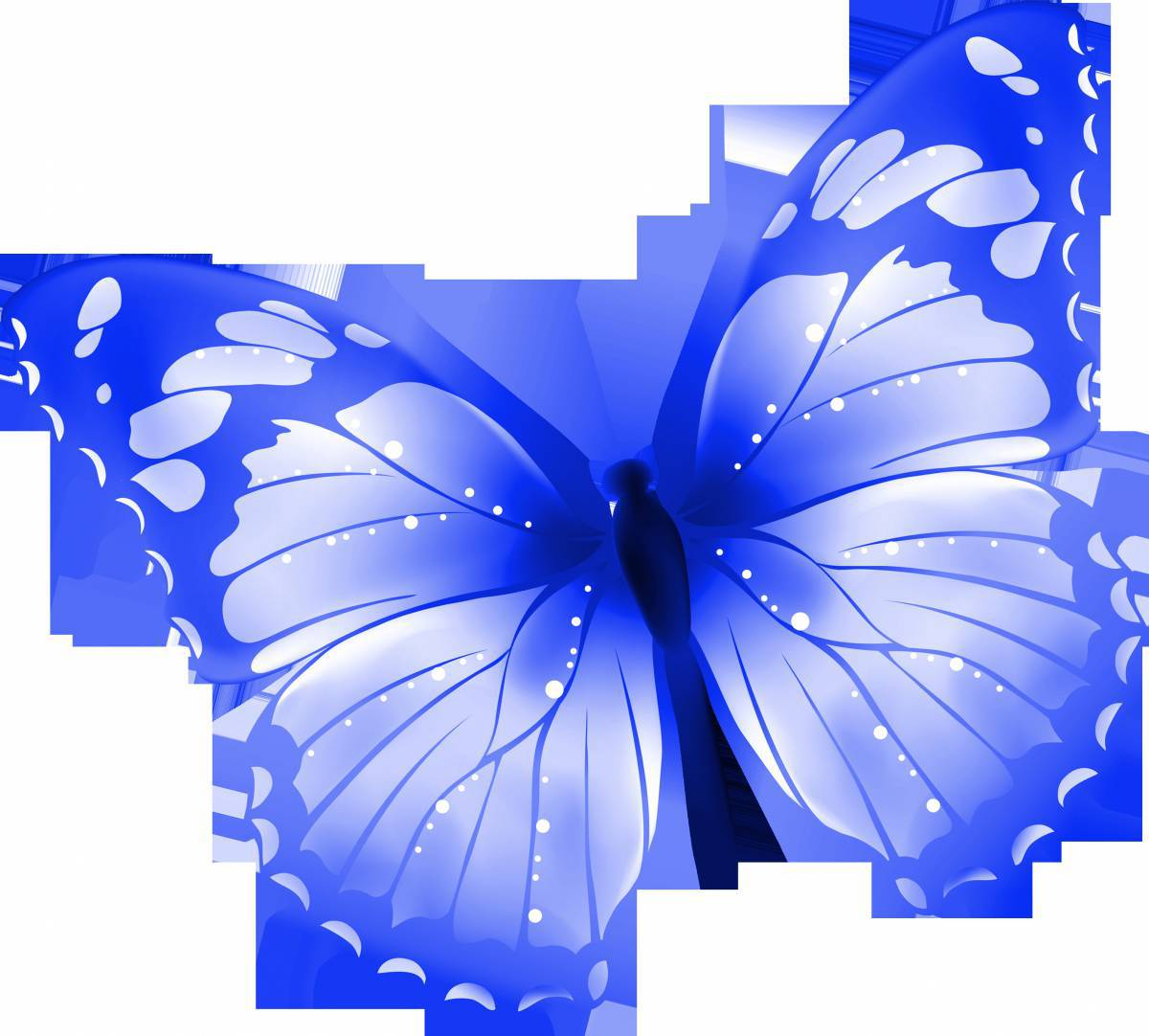 Картинка бабочка #17