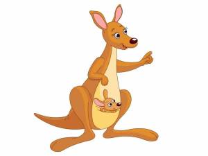 Раскраска кенгуру для детей #1 #89871