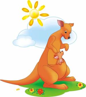 Раскраска кенгуру для детей #13 #89883
