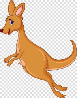 Раскраска кенгуру для детей #31 #89901