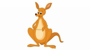 Раскраска кенгуру для детей #32 #89902
