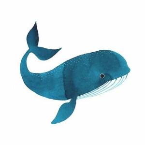 Раскраска кит для детей #15 #90611