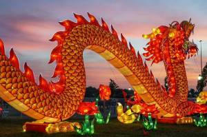 Раскраска китайский дракон #11 #90675