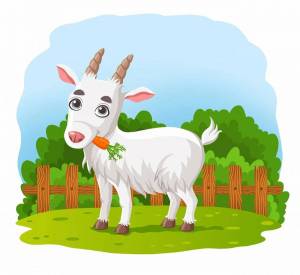 Раскраска коза для детей #1 #91453