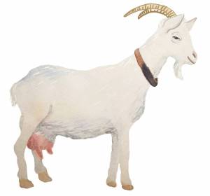 Раскраска коза для детей #5 #91457