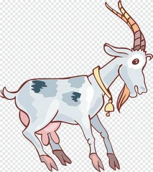 Раскраска коза для детей #8 #91460