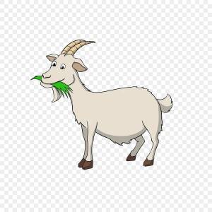 Раскраска коза для детей #16 #91468