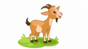Раскраска коза для детей #20 #91472