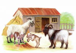 Раскраска коза для детей #22 #91474
