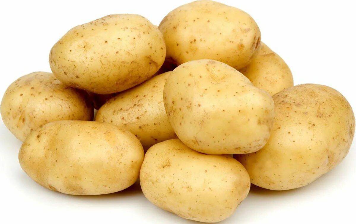 Картошка #2