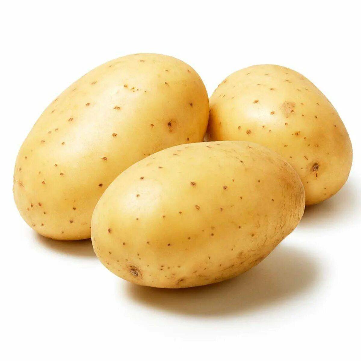 Картошка #3