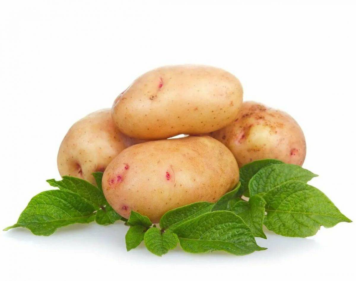Картошка #5