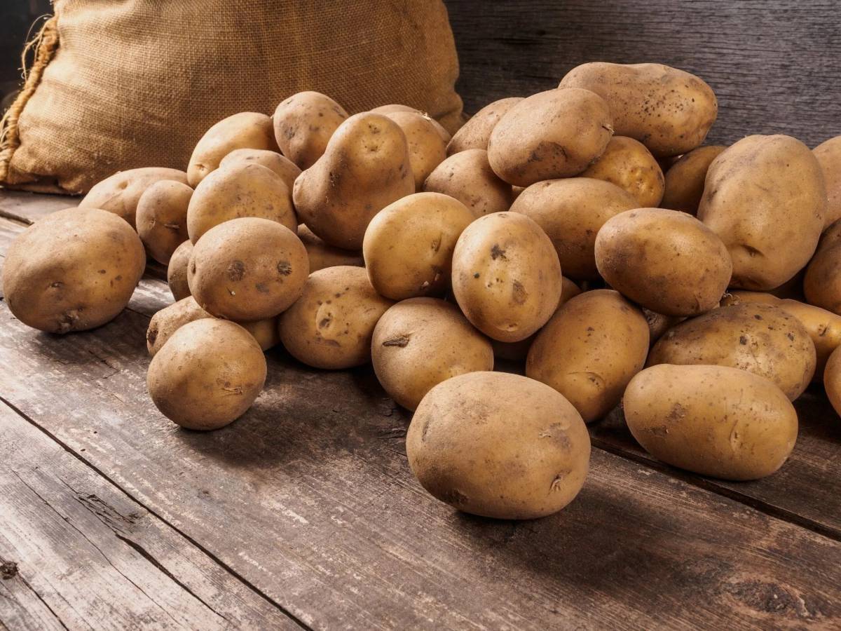 Картошка #10