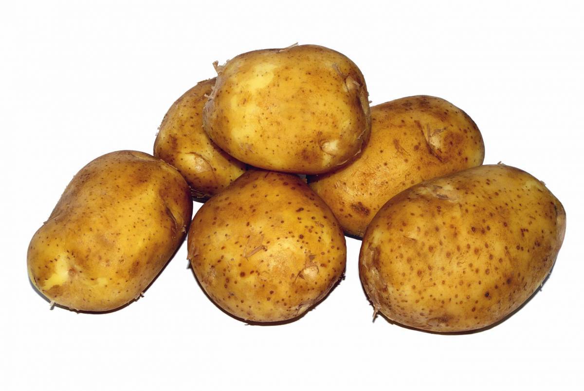 Картошка #11