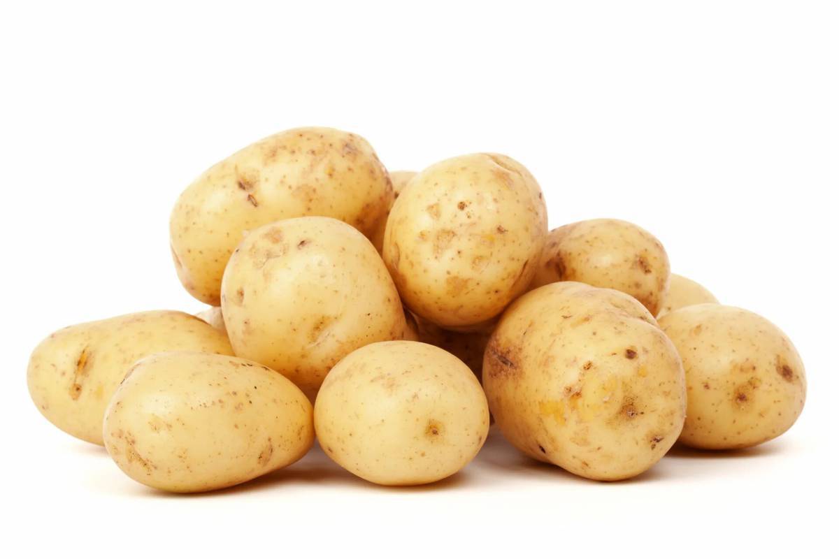 Картошка #13