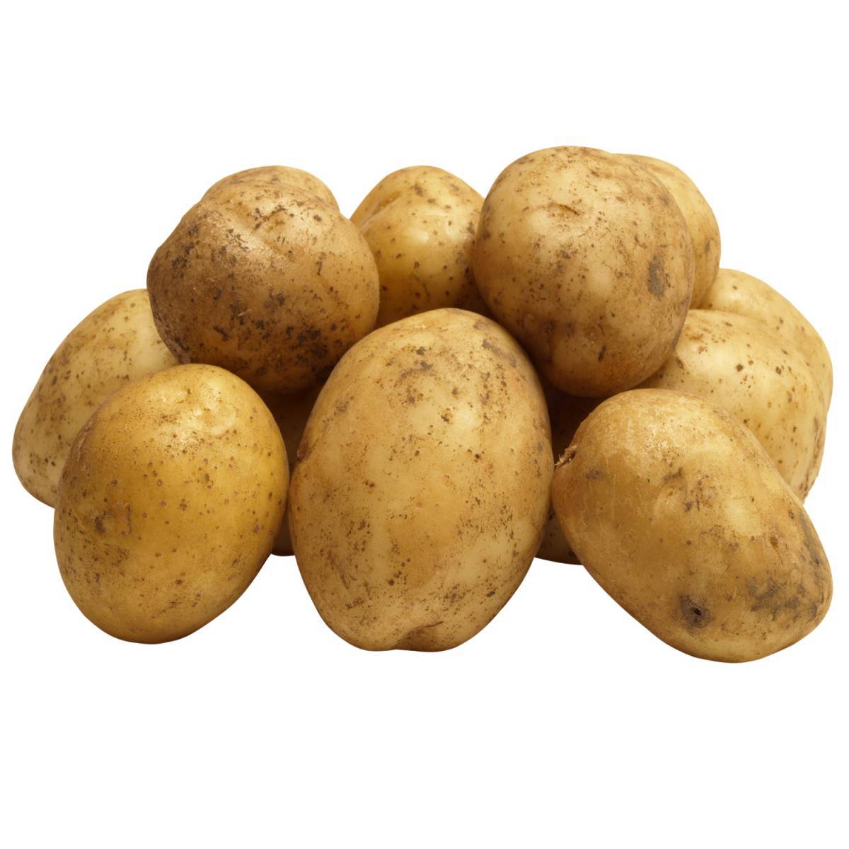 Картошка #14