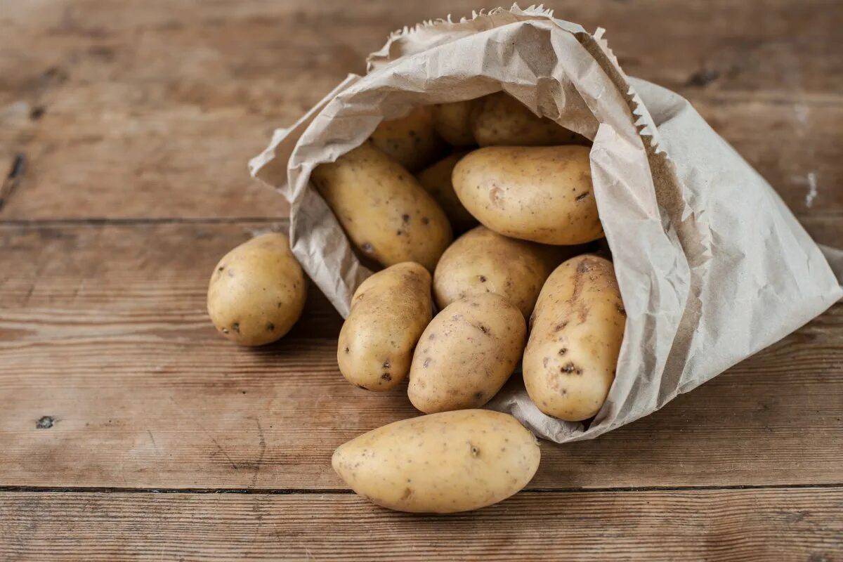 Картошка #19