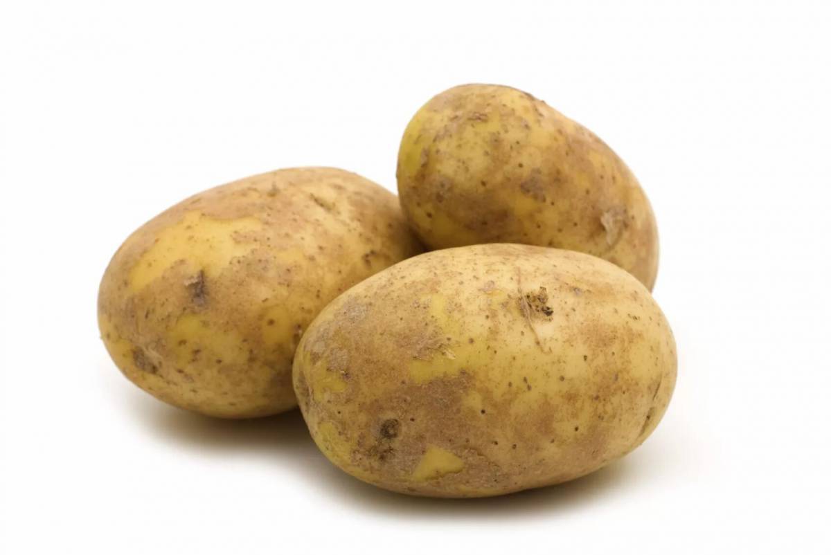 Картошка #20