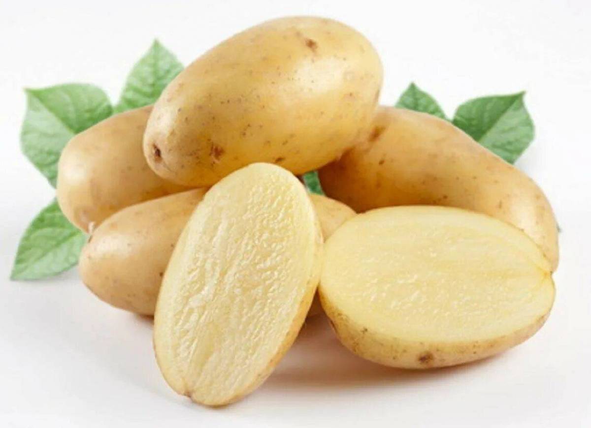 Картошка #21