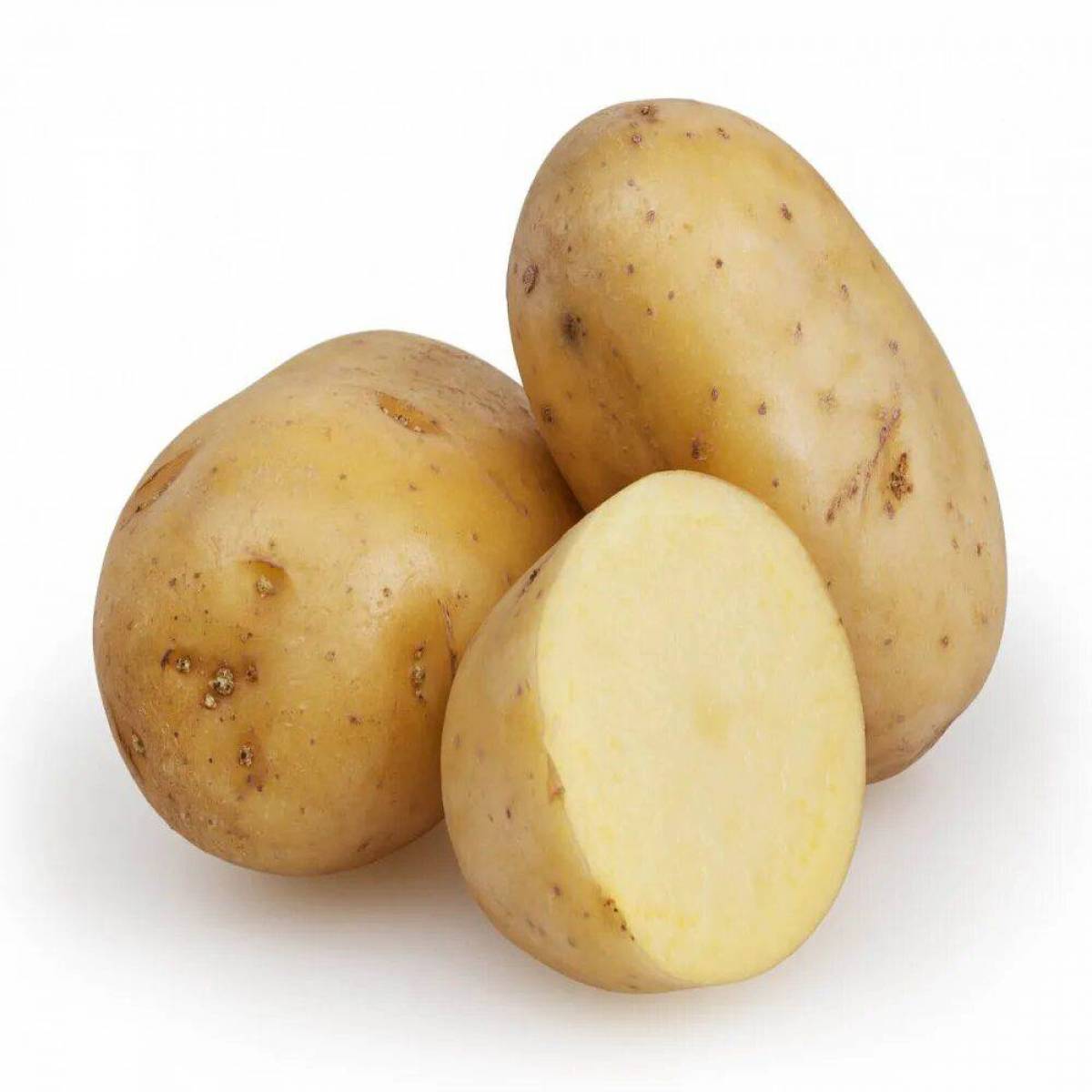 Картошка #26