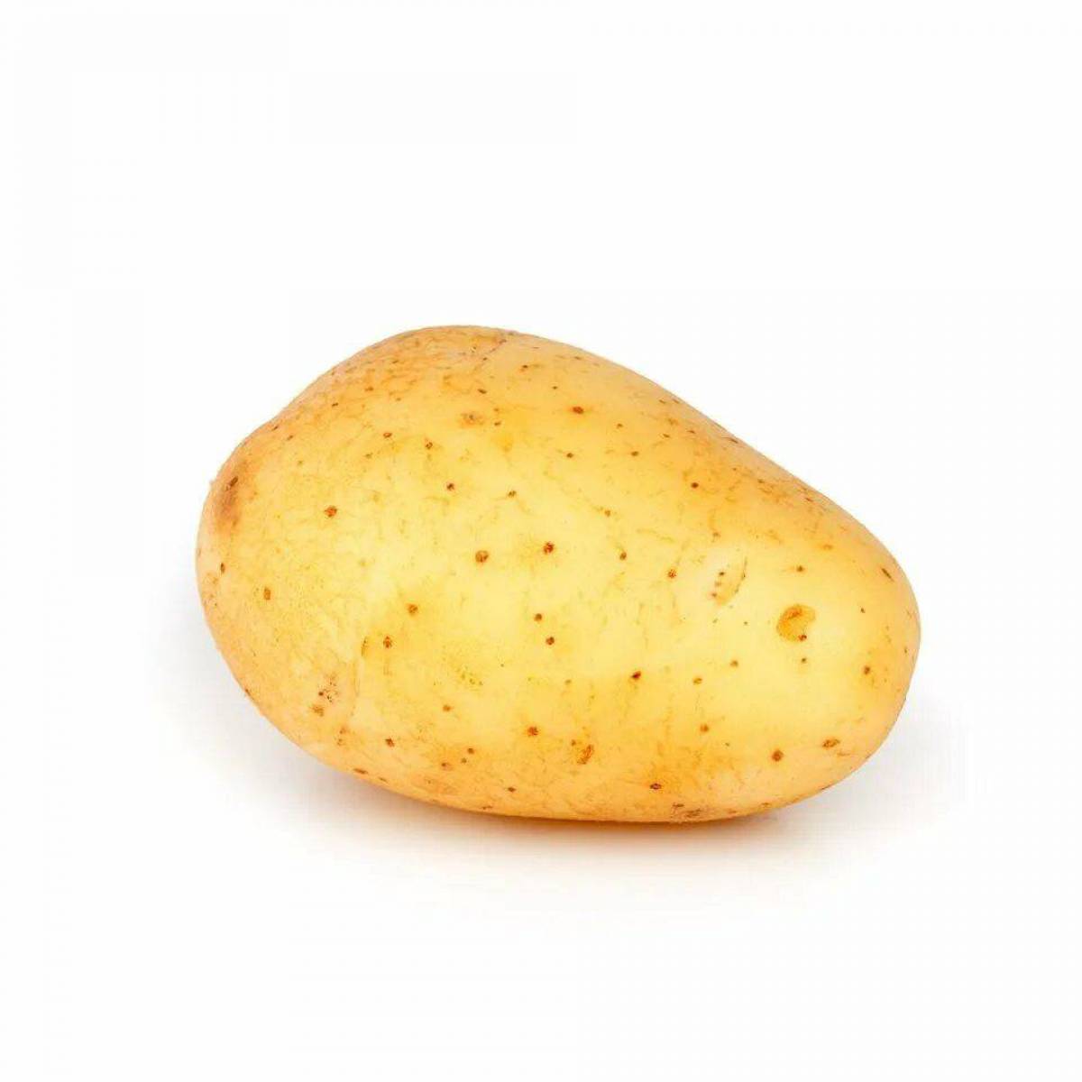Картошка #29