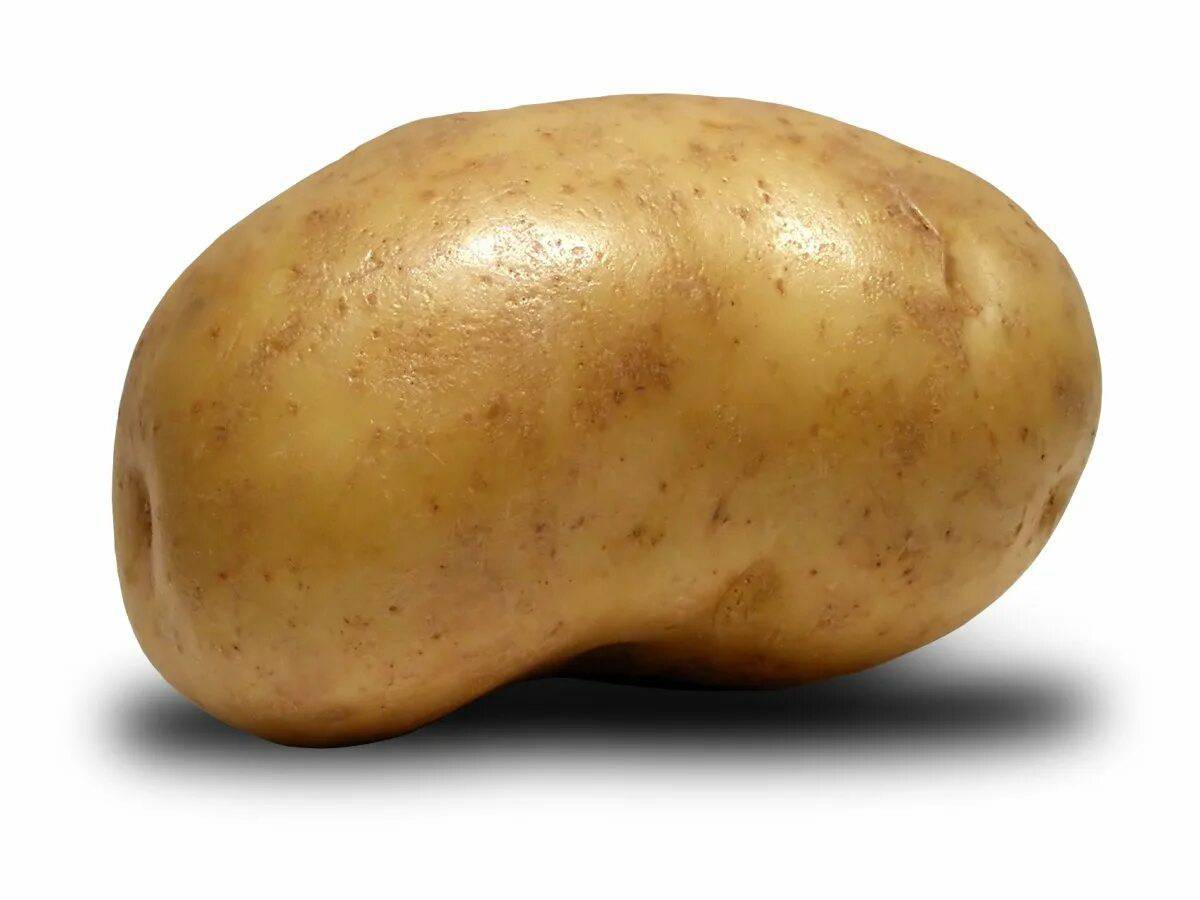 Картошка #32