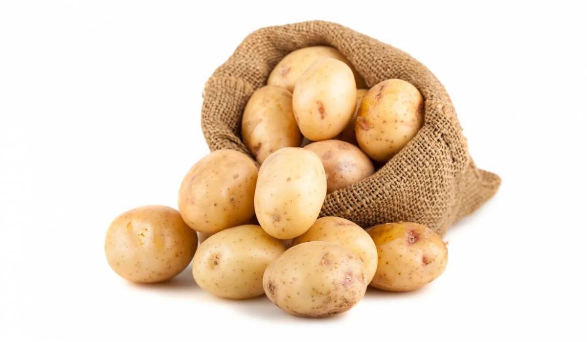 Картошка #33