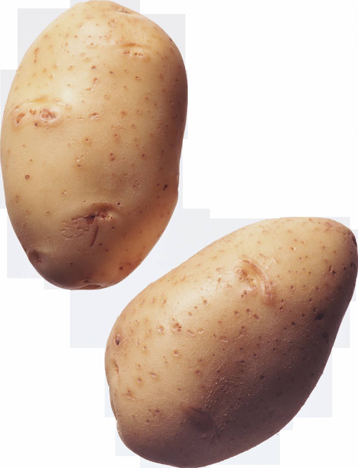 Картошка #35