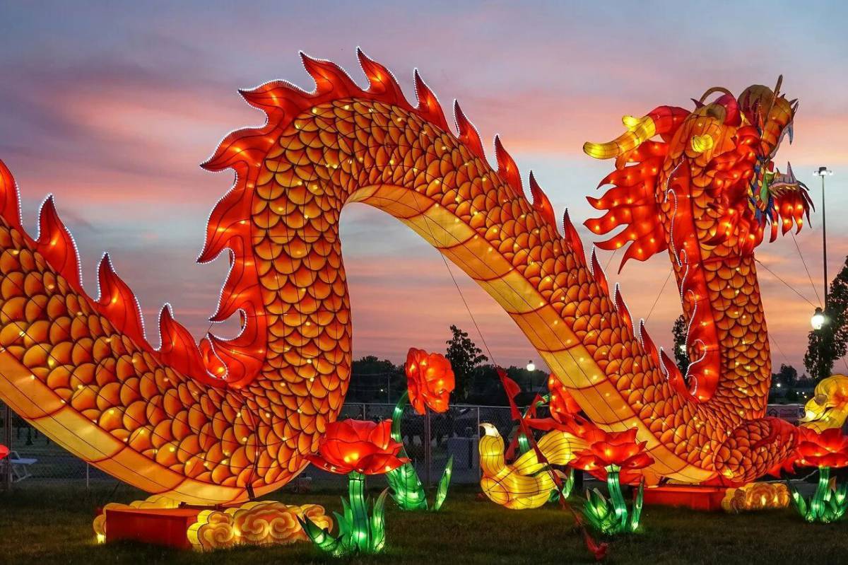 Китайский дракон #11