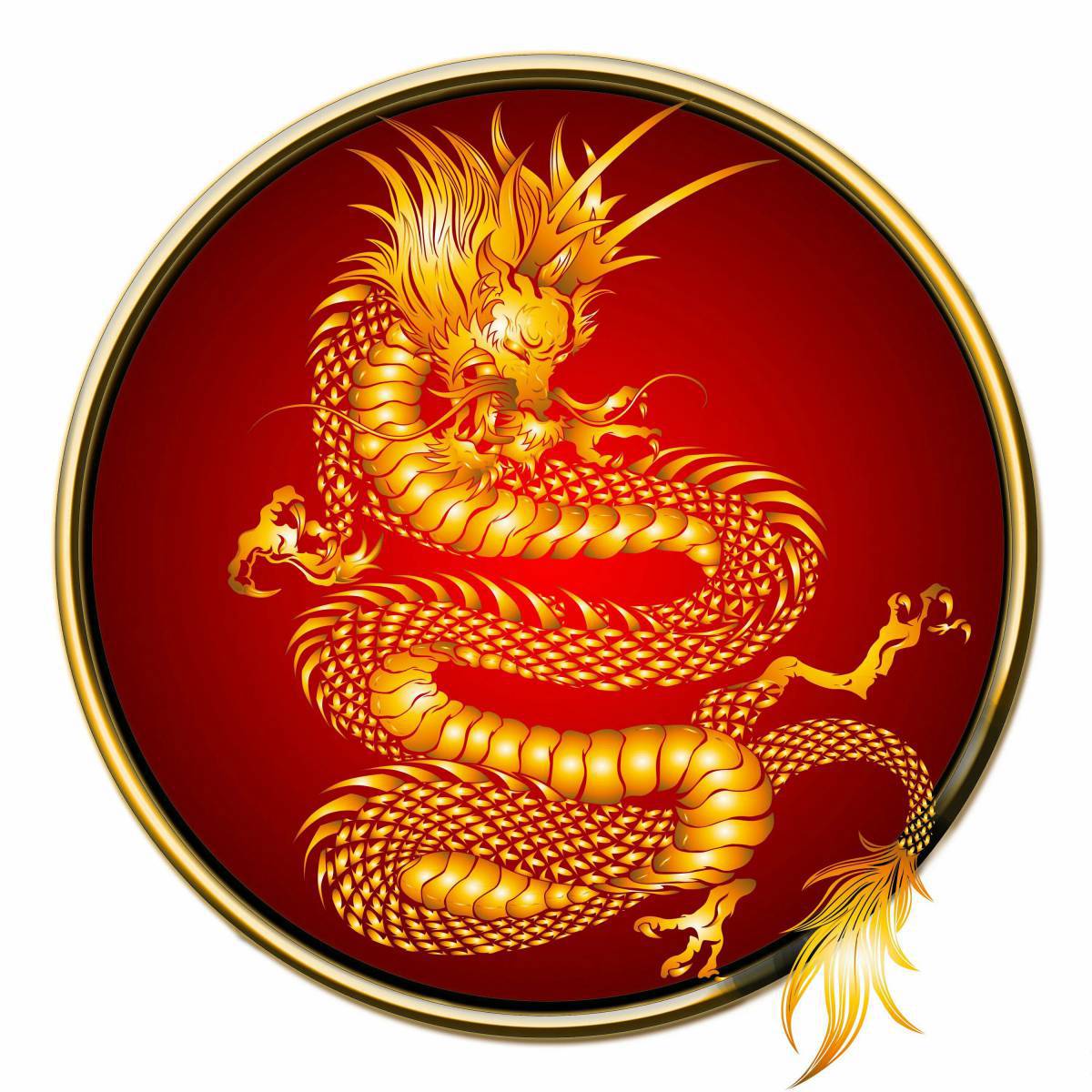 Китайский дракон #25