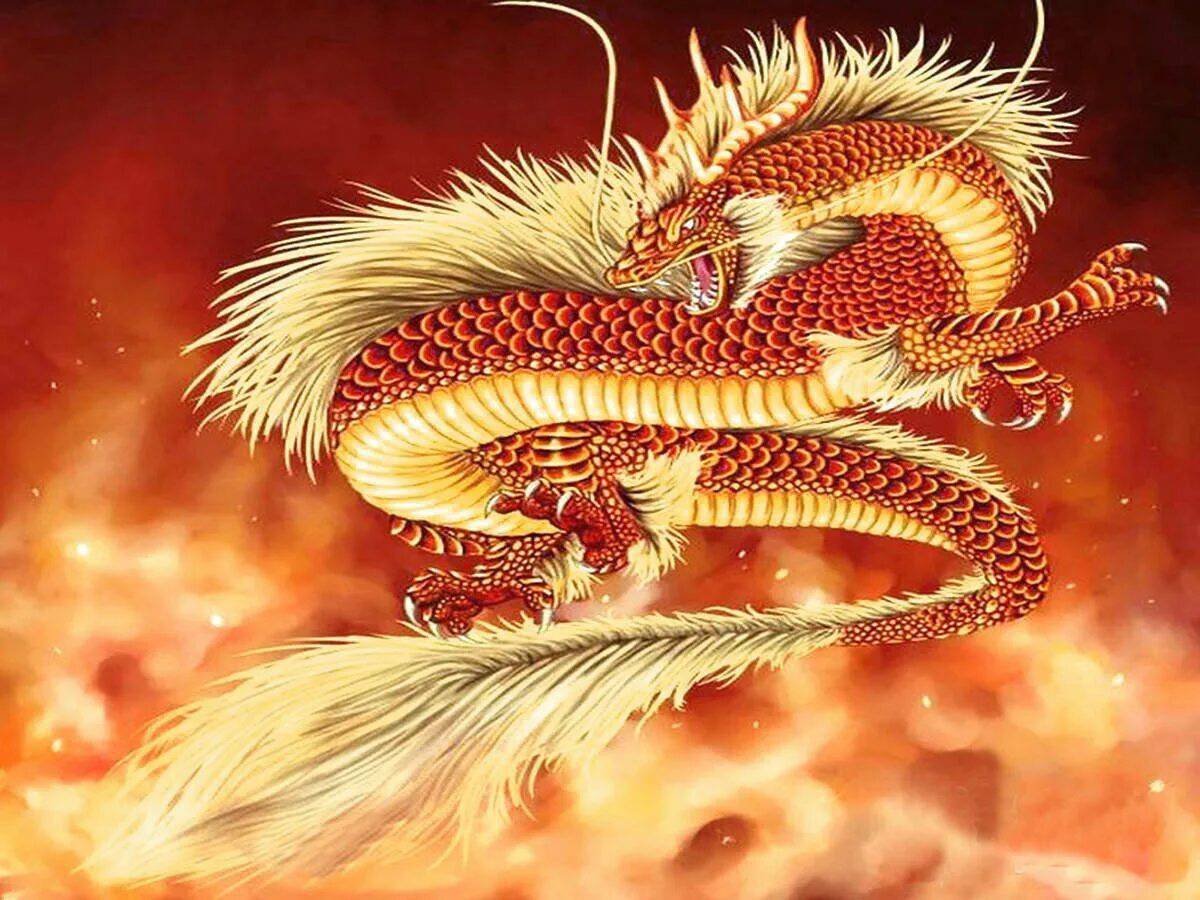 Китайский дракон #29