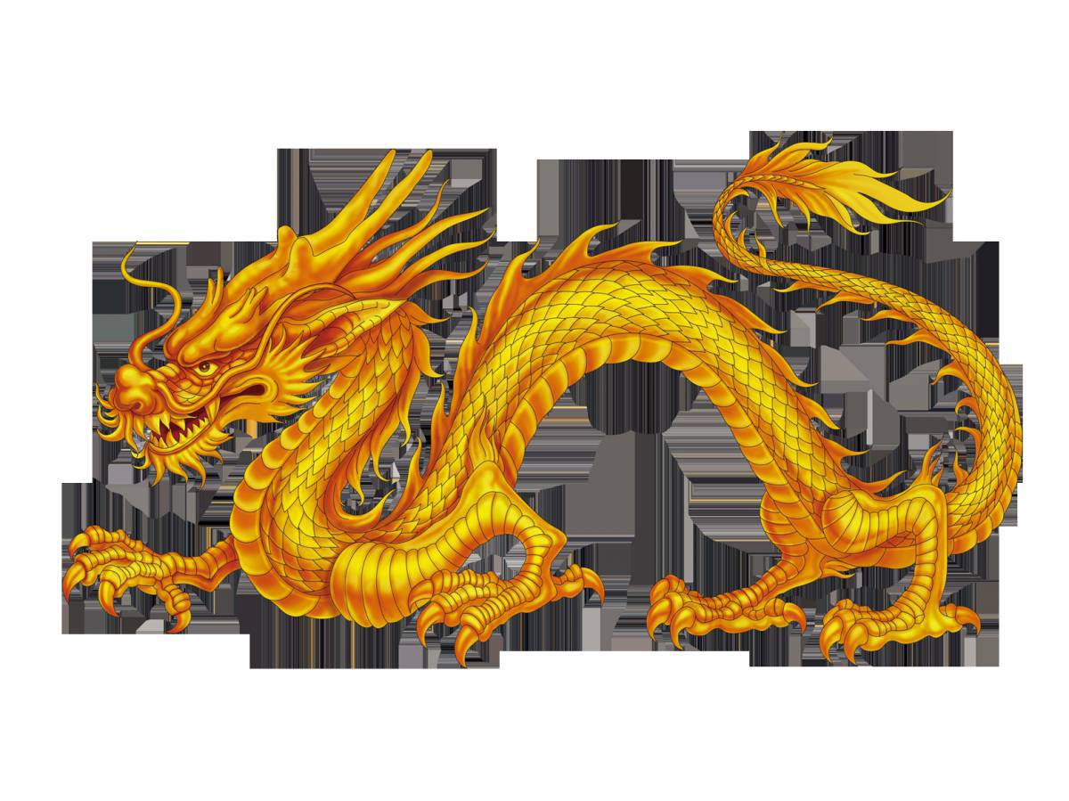 Китайский дракон #30